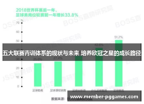 五大联赛青训体系的现状与未来 培养欧冠之星的成长路径
