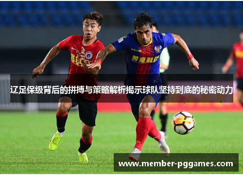 辽足保级背后的拼搏与策略解析揭示球队坚持到底的秘密动力
