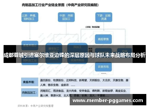 成都蓉城引进塞尔维亚边锋的深层原因与球队未来战略布局分析