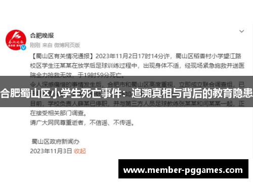 合肥蜀山区小学生死亡事件：追溯真相与背后的教育隐患