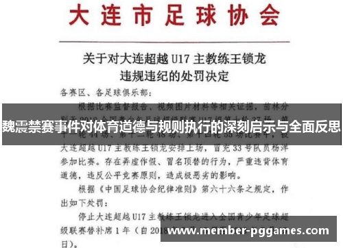 魏震禁赛事件对体育道德与规则执行的深刻启示与全面反思