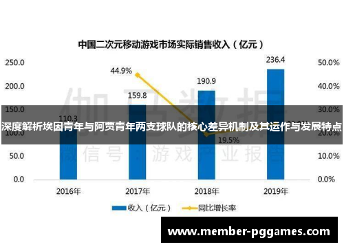 深度解析埃因青年与阿贾青年两支球队的核心差异机制及其运作与发展特点