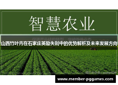 山西竹叶青在石家庄英励失利中的优势解析及未来发展方向